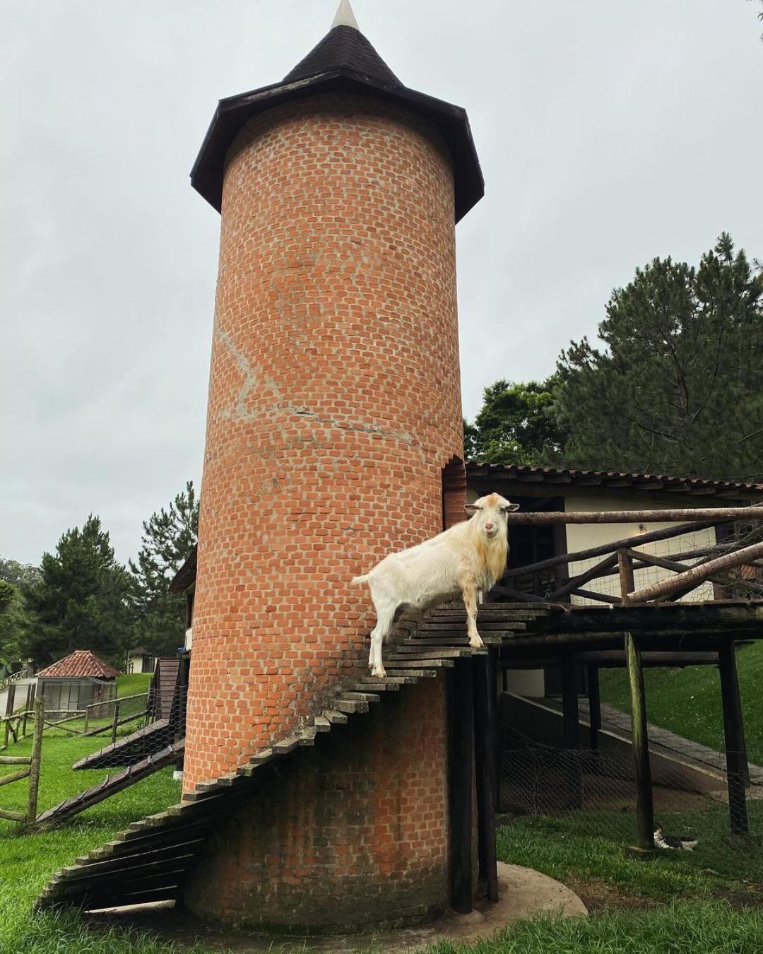 Fazenda Suica Le Canton Teresopolis Bagian luar foto