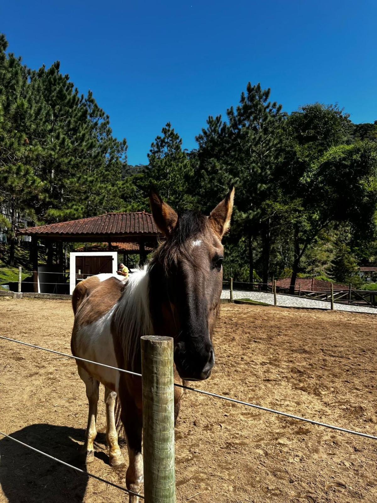Fazenda Suica Le Canton Teresopolis Bagian luar foto